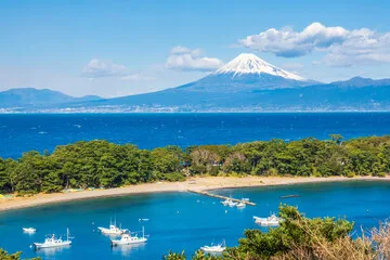 伊豆の風景