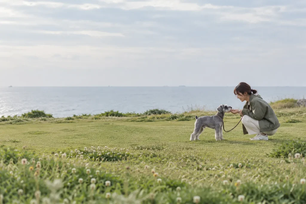 淡路島・国営明石海峡公園は犬連れで入れる？散策と利用不可施設を確認に関連する犬とのおでかけのイメージ