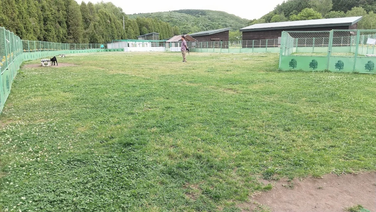 いわみざわ公園ドッグラン