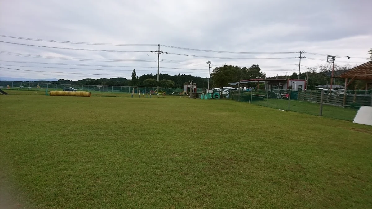 ドッグラン M's