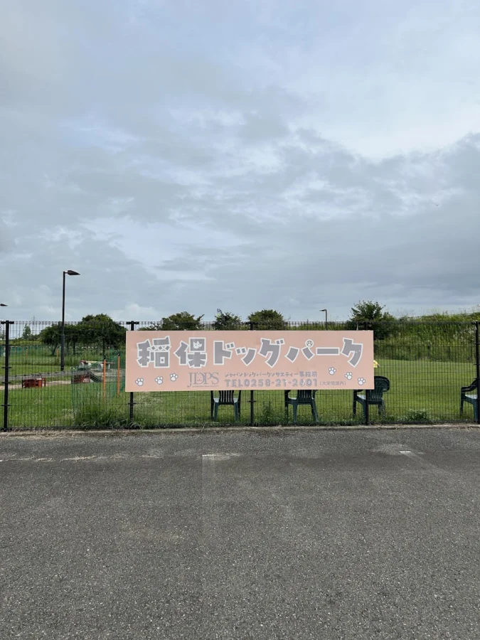 稲保ドッグパーク