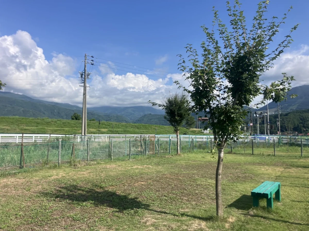ドッグラン（道の駅木島平）