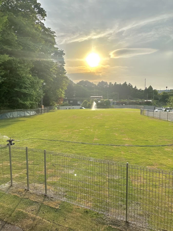 Barong Field TOMIYA (ドッグラン)