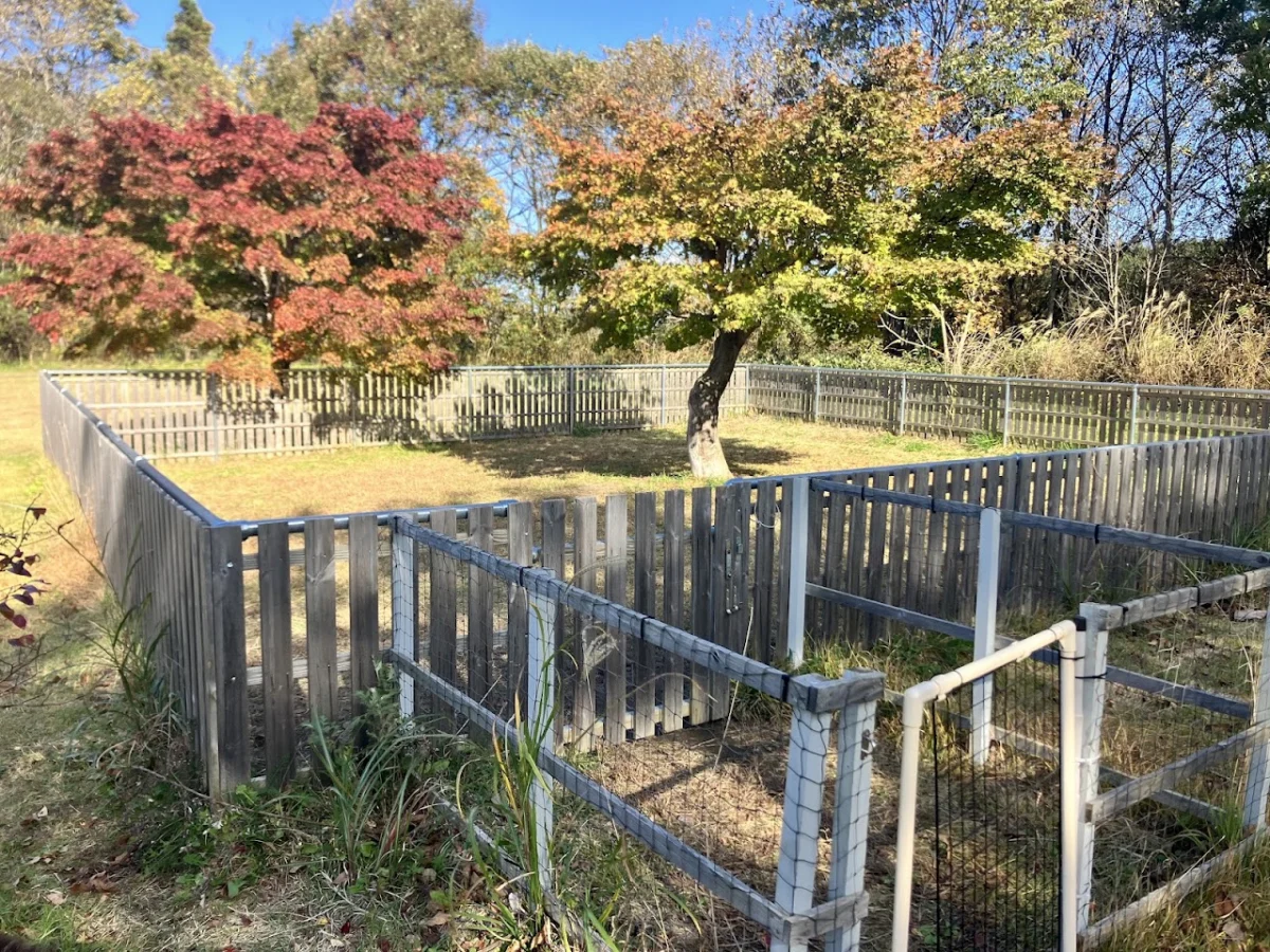 道の駅 とわだ フリードッグラン