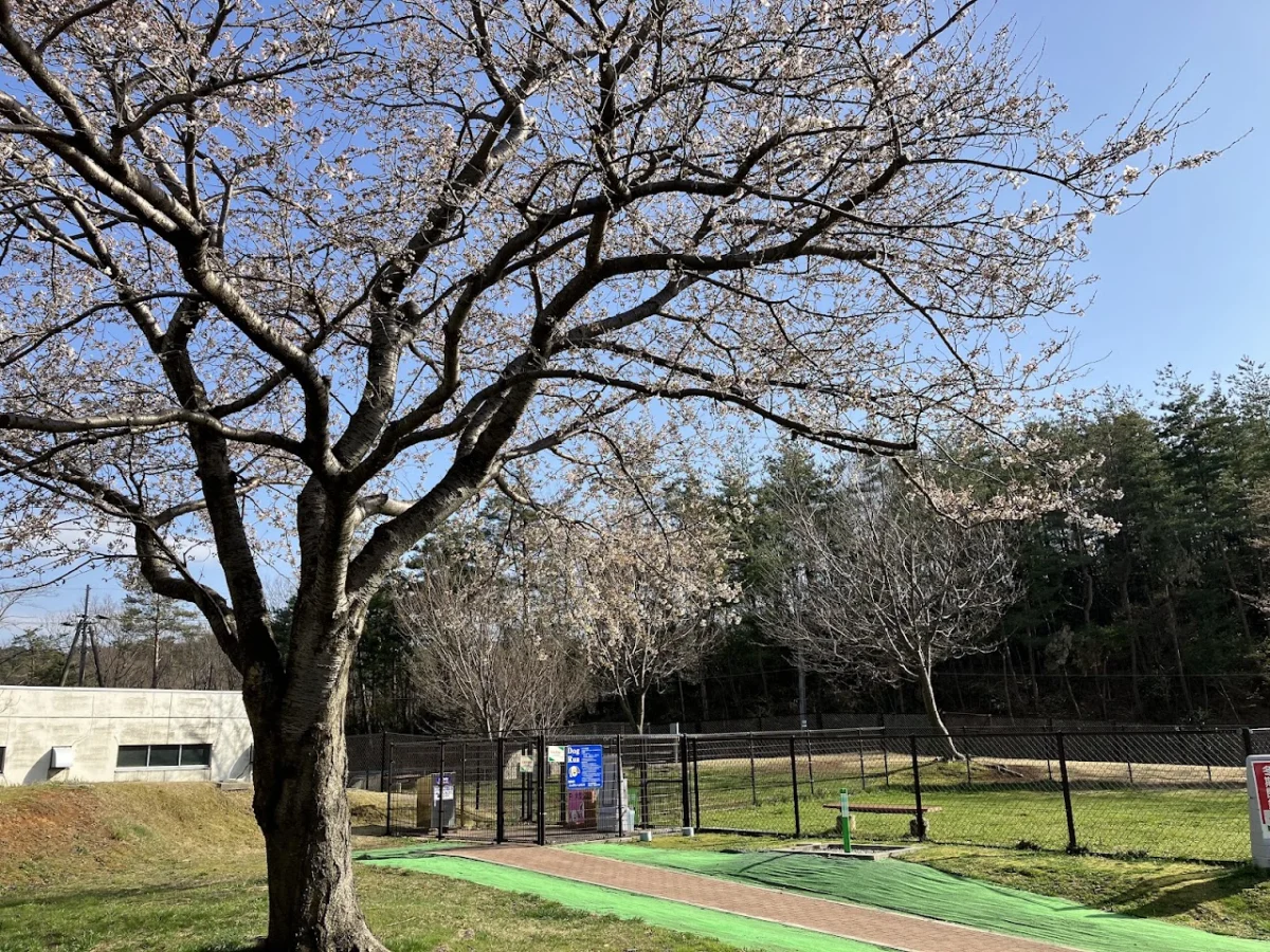 ドッグラン(米山SA上り）