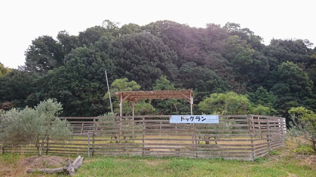 前島ﾌｪﾘｰ乗場&ﾄﾞｯｸﾞﾗﾝ