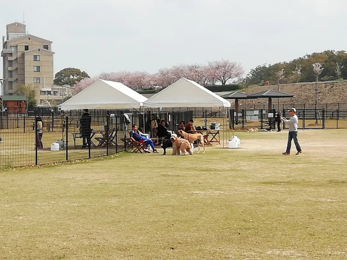 筑後広域公園 ドッグラン