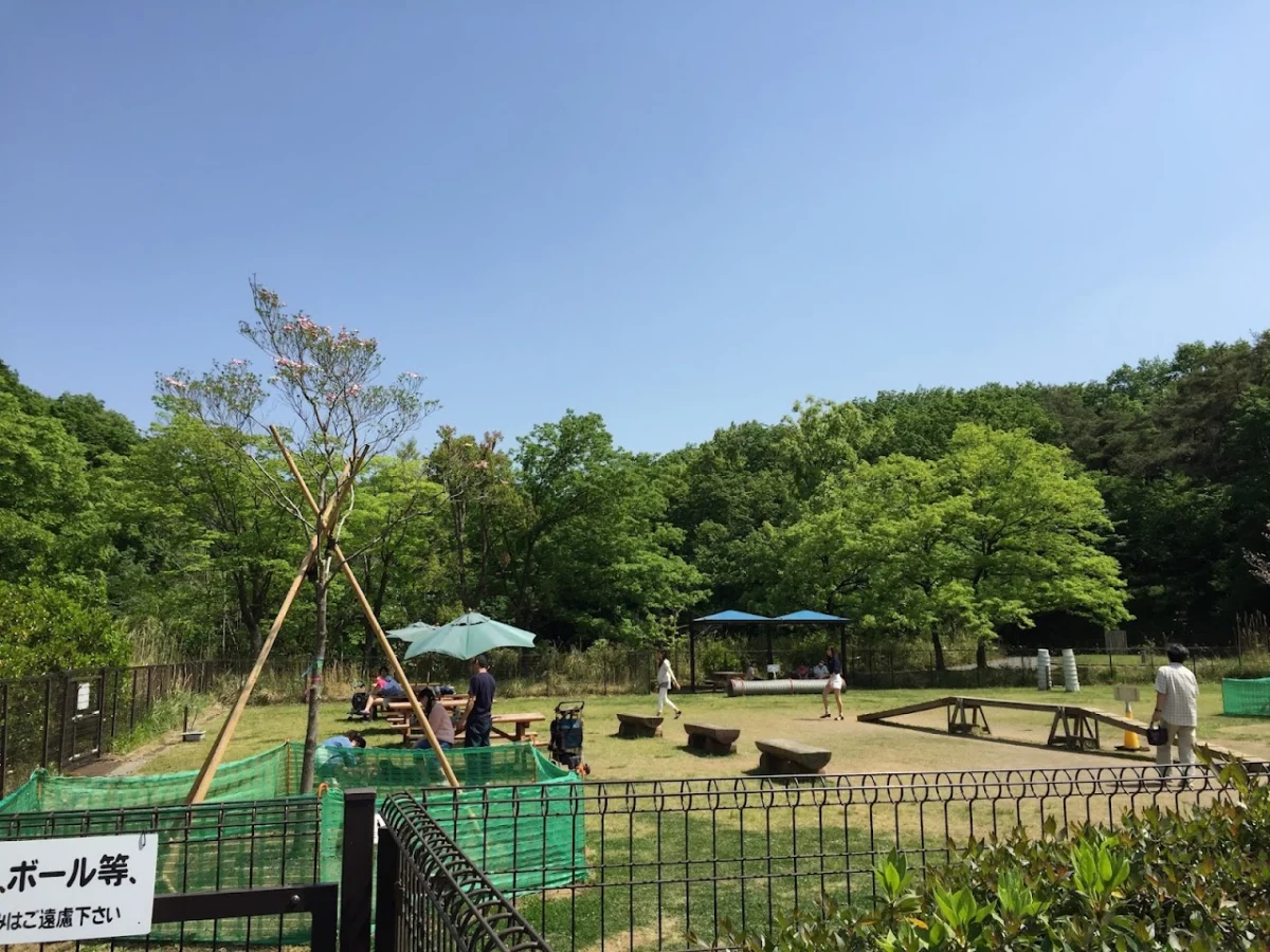 ドッグラン (森林公園内)