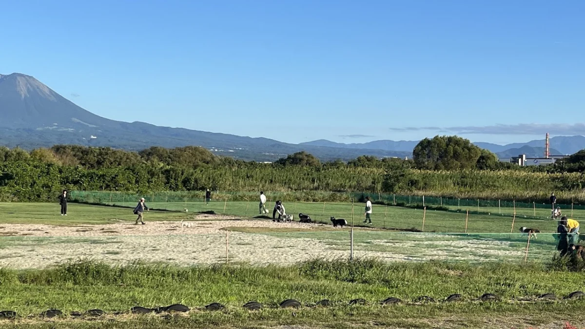 日野川ドッグラン
