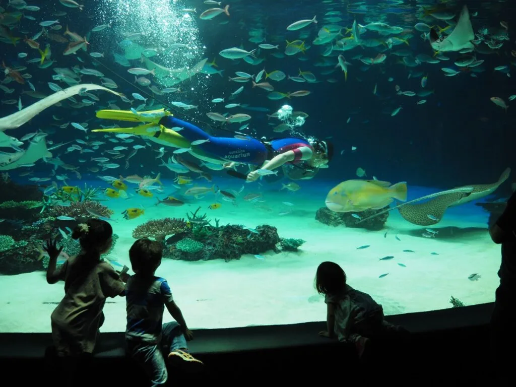 サンシャイン水族館