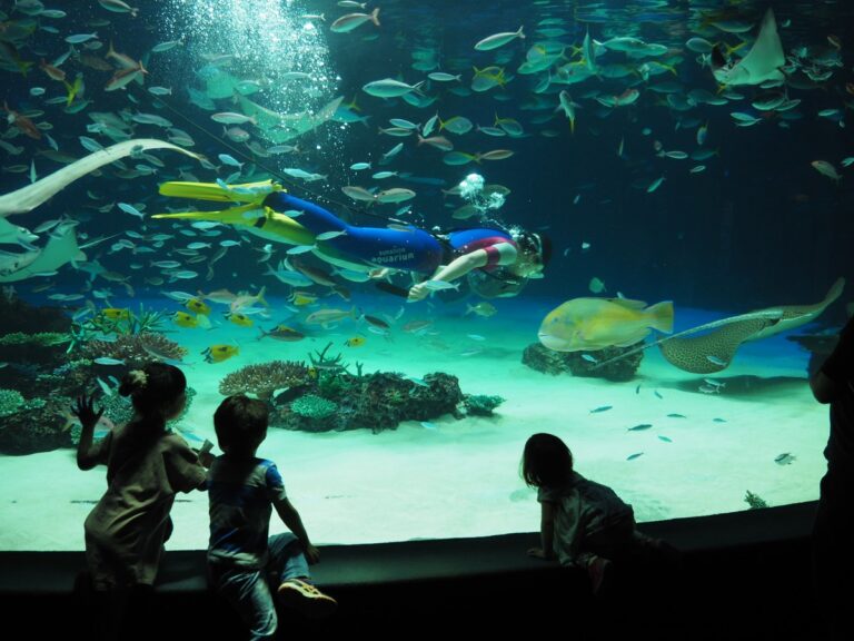 サンシャイン水族館