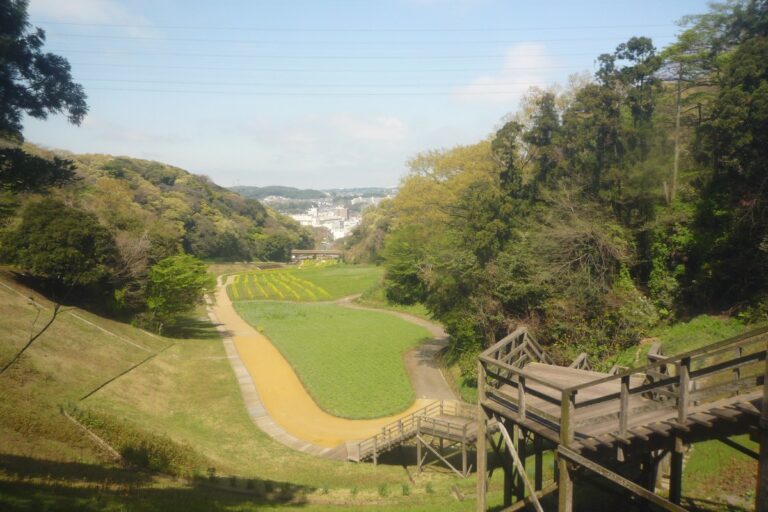 くりはま花の国