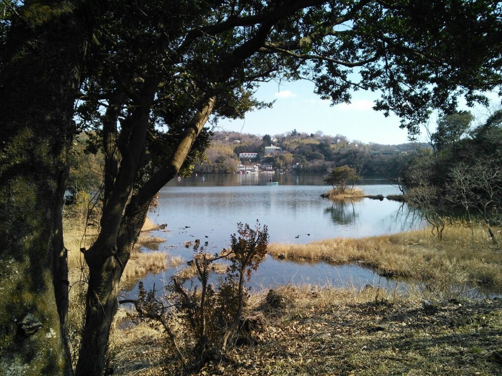 一碧湖