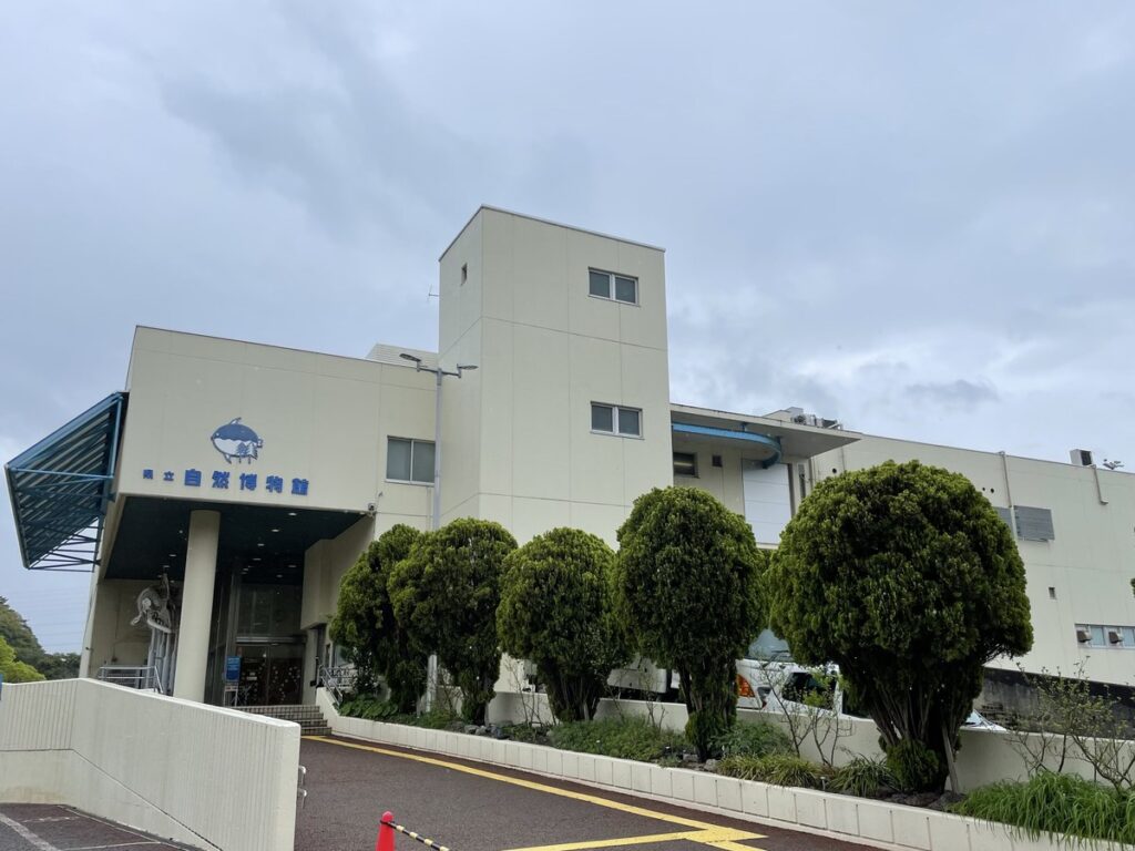 和歌山県立自然博物館