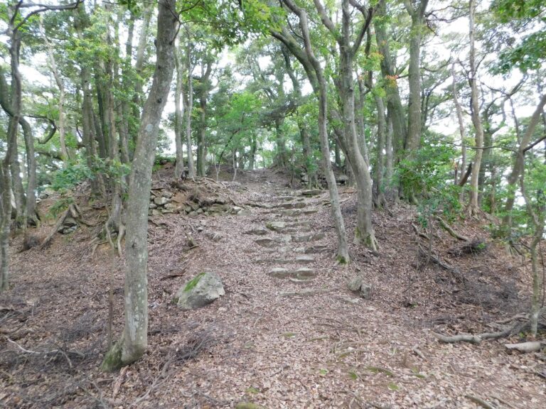 後瀬山城