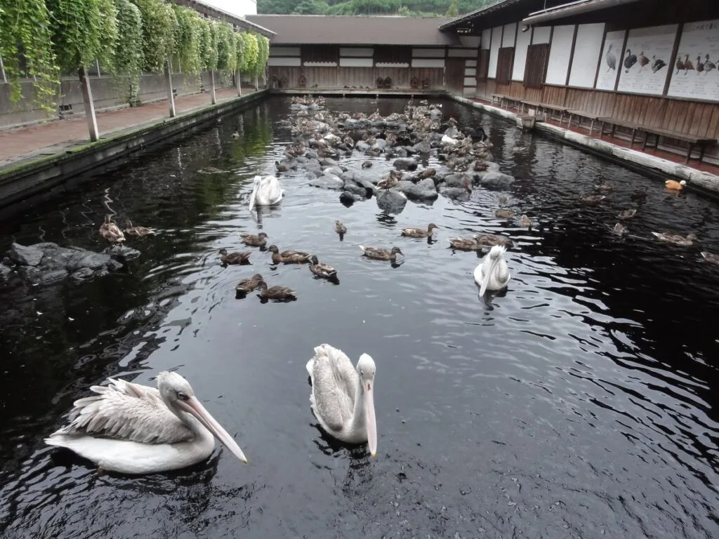 掛川花鳥園