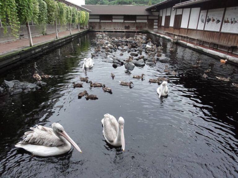 掛川花鳥園