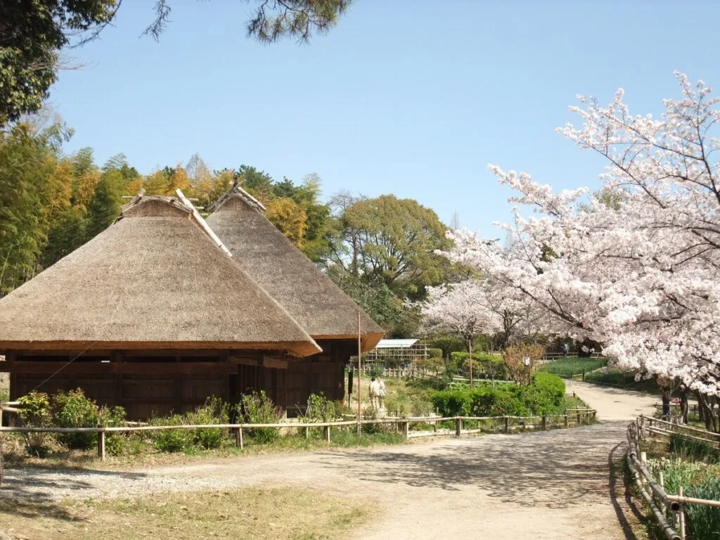 日本民家集落博物館