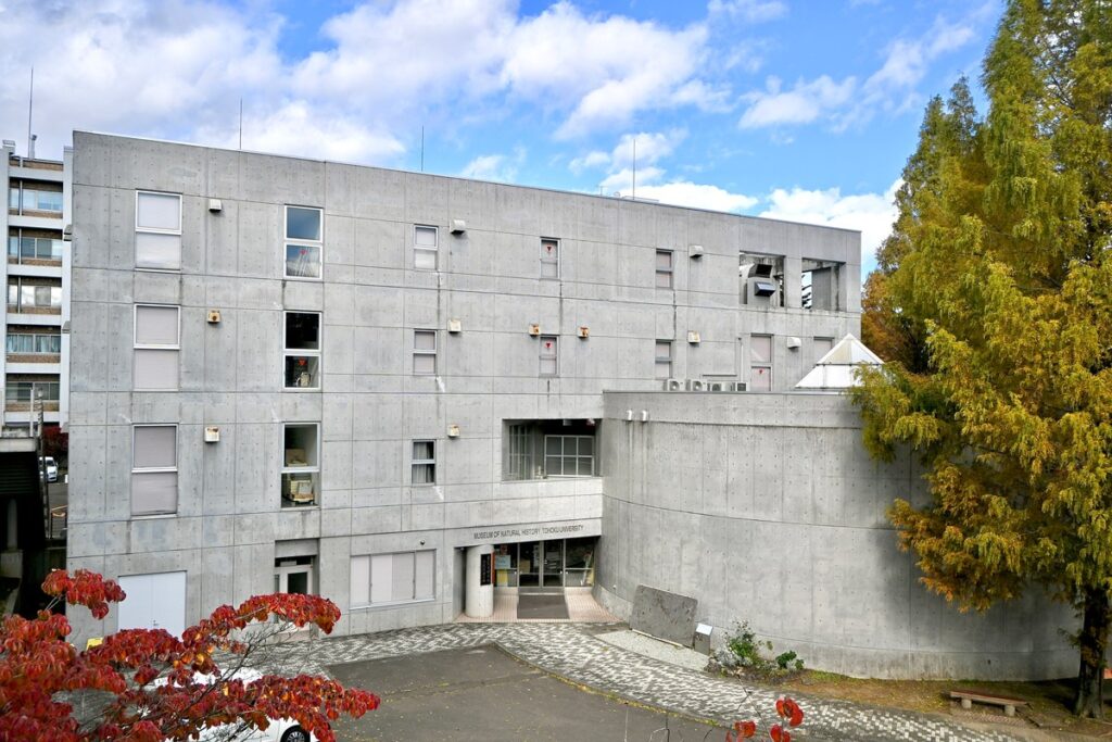 東北大学総合学術博物館