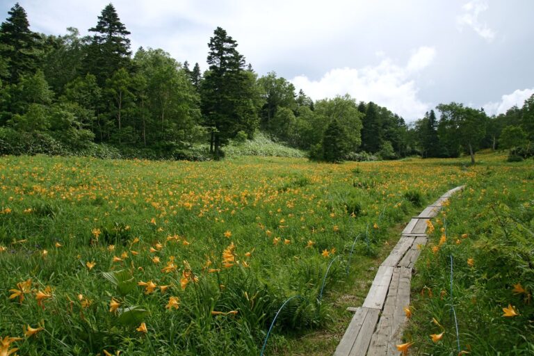 東館山高山植物園