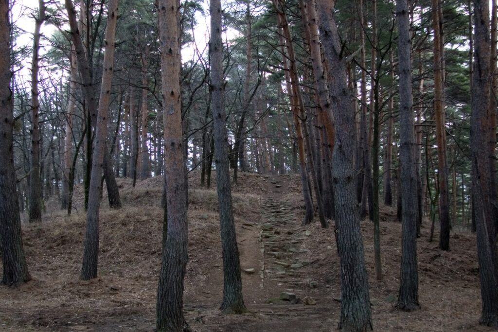 林城