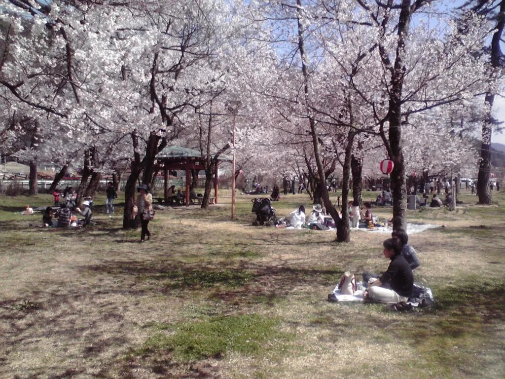 桜野公園
