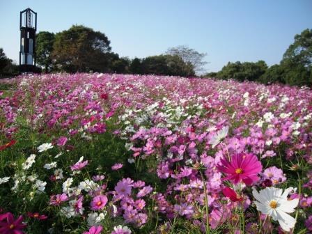熊本市動植物園