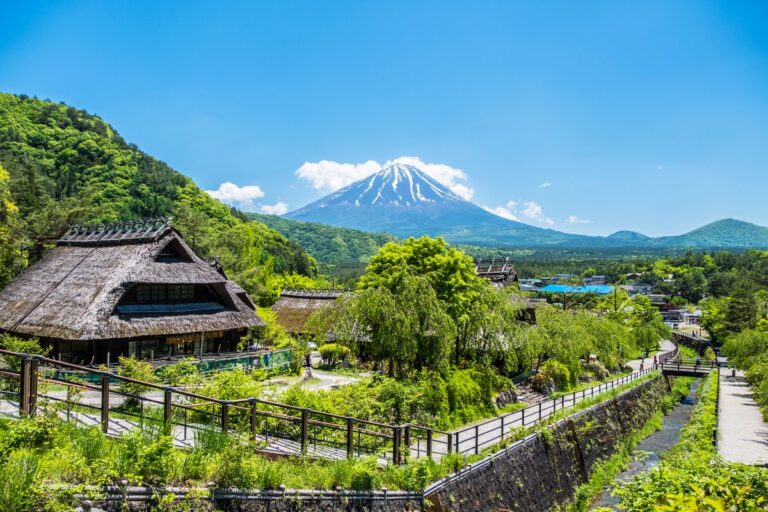 西湖いやしの里根場