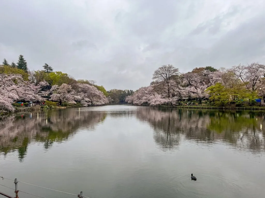 井の頭恩賜公園