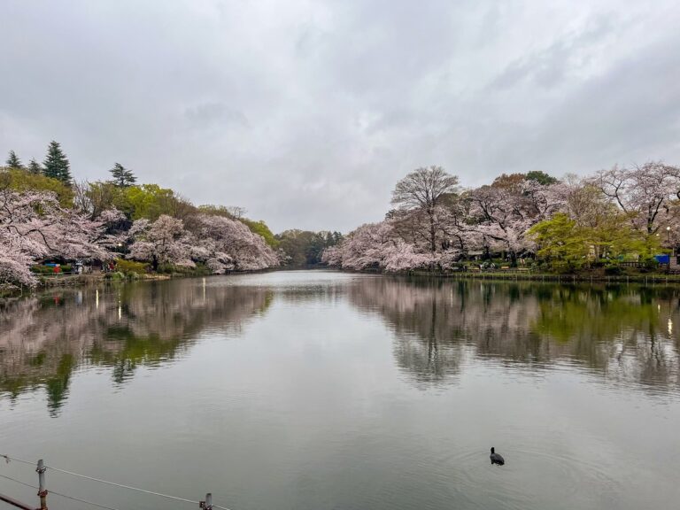 井の頭恩賜公園