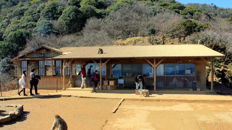 嵐山モンキーパークいわたやま