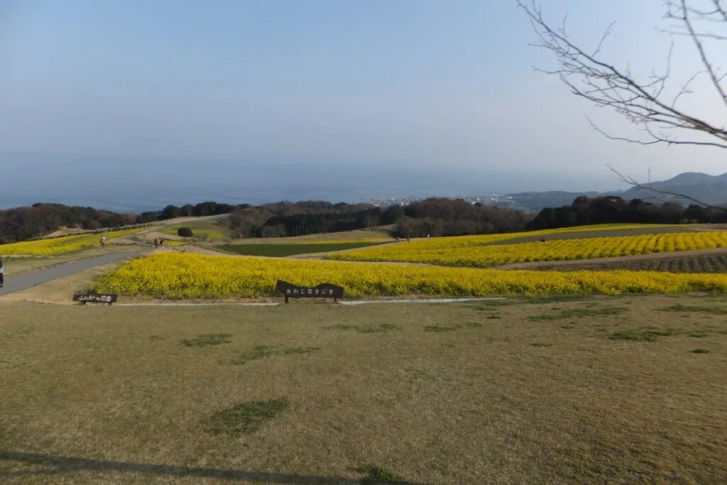 兵庫県立あわじ花さじき