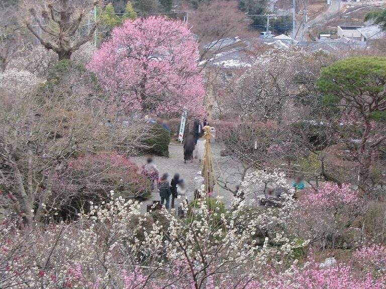 百草園