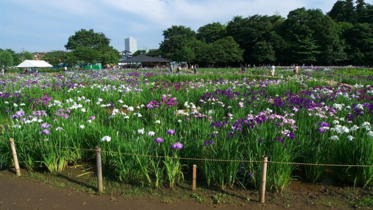 北山公園