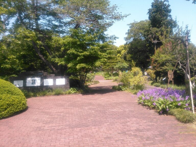 横浜市こども植物園