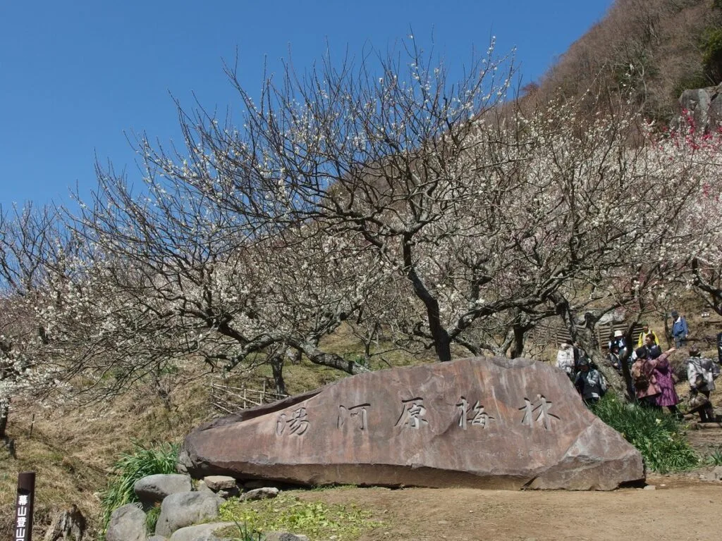 幕山公園